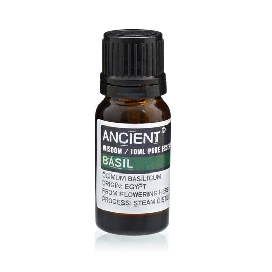 Basil Essential Oil 10ml Amber Glass Bottle with Built-In Drop Reducer – Mental Clarity and Respiratory Support