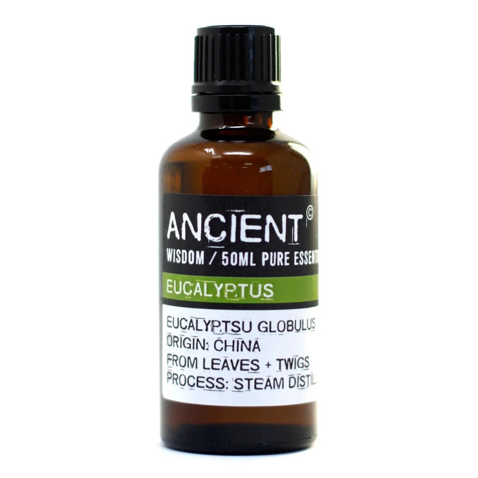 Eucalyptus 50ml 50ml Pure Essential Oil for Aromatherapy and Natural Wellness