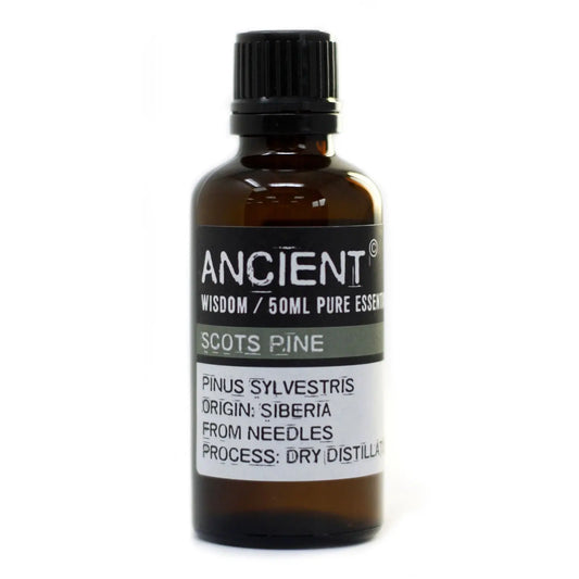 Pine Sylvestris (Scots Pine) 50ml 50ml Pure Essential Oil for Aromatherapy and Natural Wellness