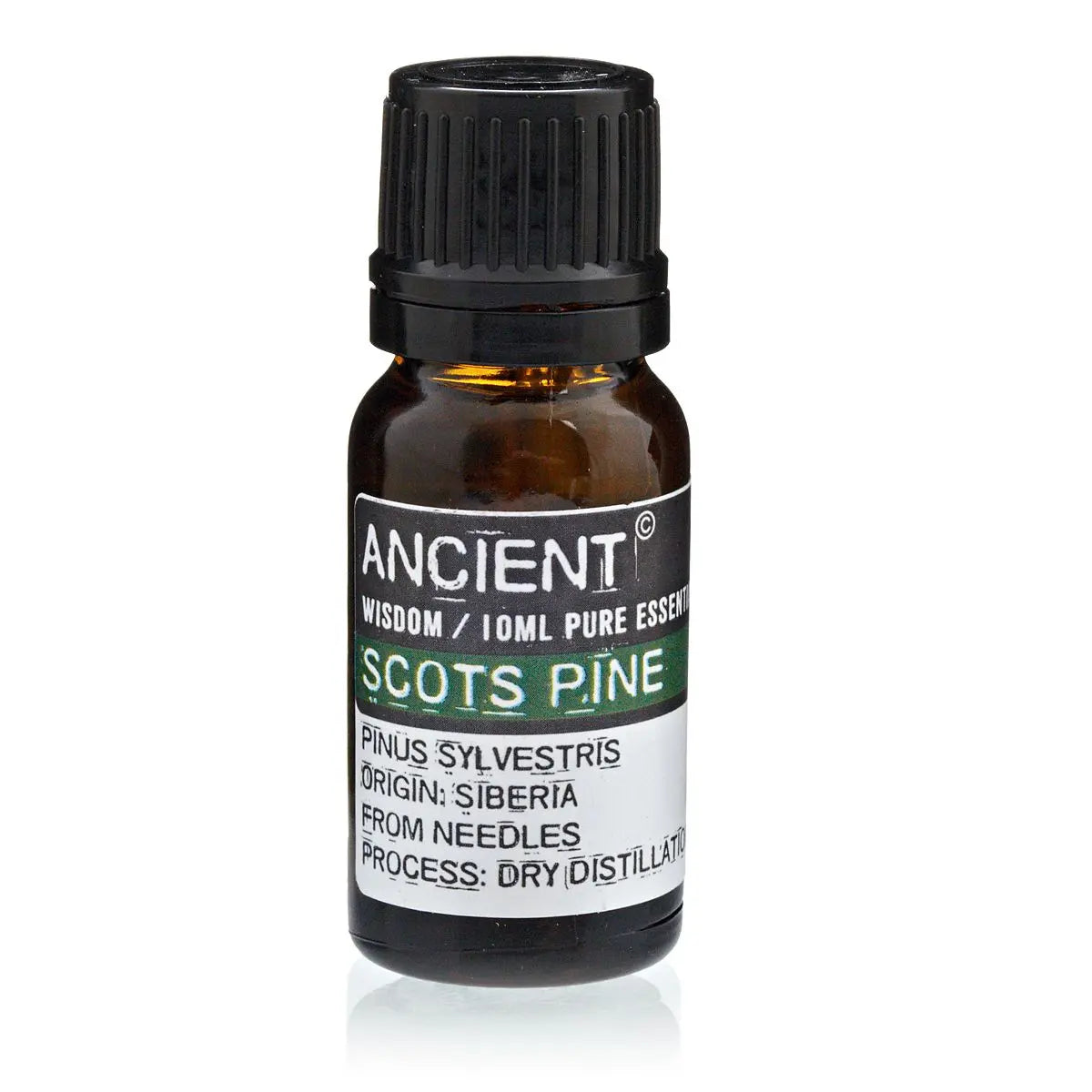Pine Sylvestris (Scots Pine) Essential Oil 10ml Amber Glass Bottle with Built-In Drop Reducer – Refreshing, Cleansing and Immune Support