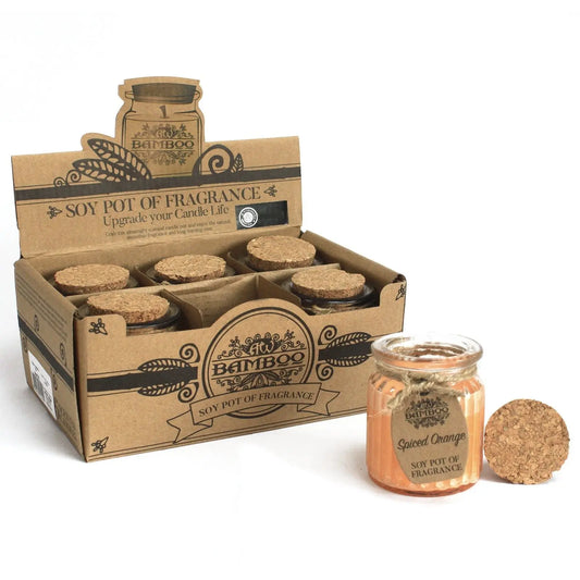 Spiced Orange Soy Pot of Fragrance Candles Ninja Aromatherapy