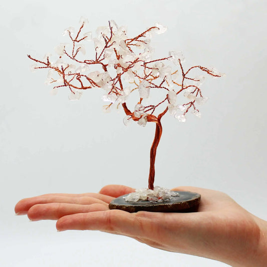 Lrg Gemstone Tree - Rock Quartz on Black Agate Base (100 stones) Ninja Aromatherapy