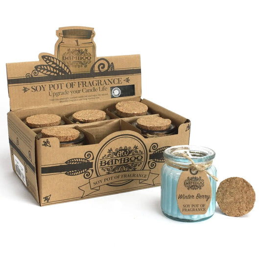 Winter Berry Soy Pot of Fragrance Candles Ninja Aromatherapy