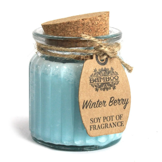 Winter Berry Soy Pot of Fragrance Candles Soy Pot of Fragrance Candle from China with essential oils soy wax candle