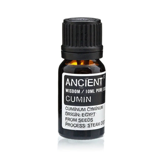 Cumin Seed Essential Oil 10ml Amber Glass Bottle with Built-In Drop Reducer – Natural Antibacterial and Digestive Support