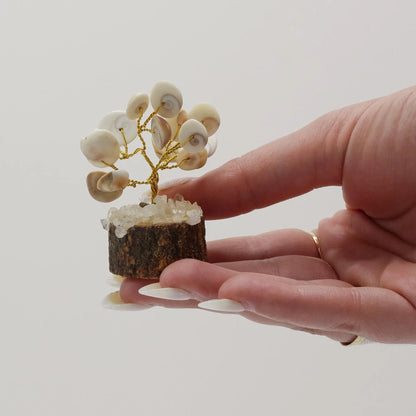 Small Gomati Chakra Circle Stone Tree with Rudraksha - (15 stones) Ninja Aromatherapy
