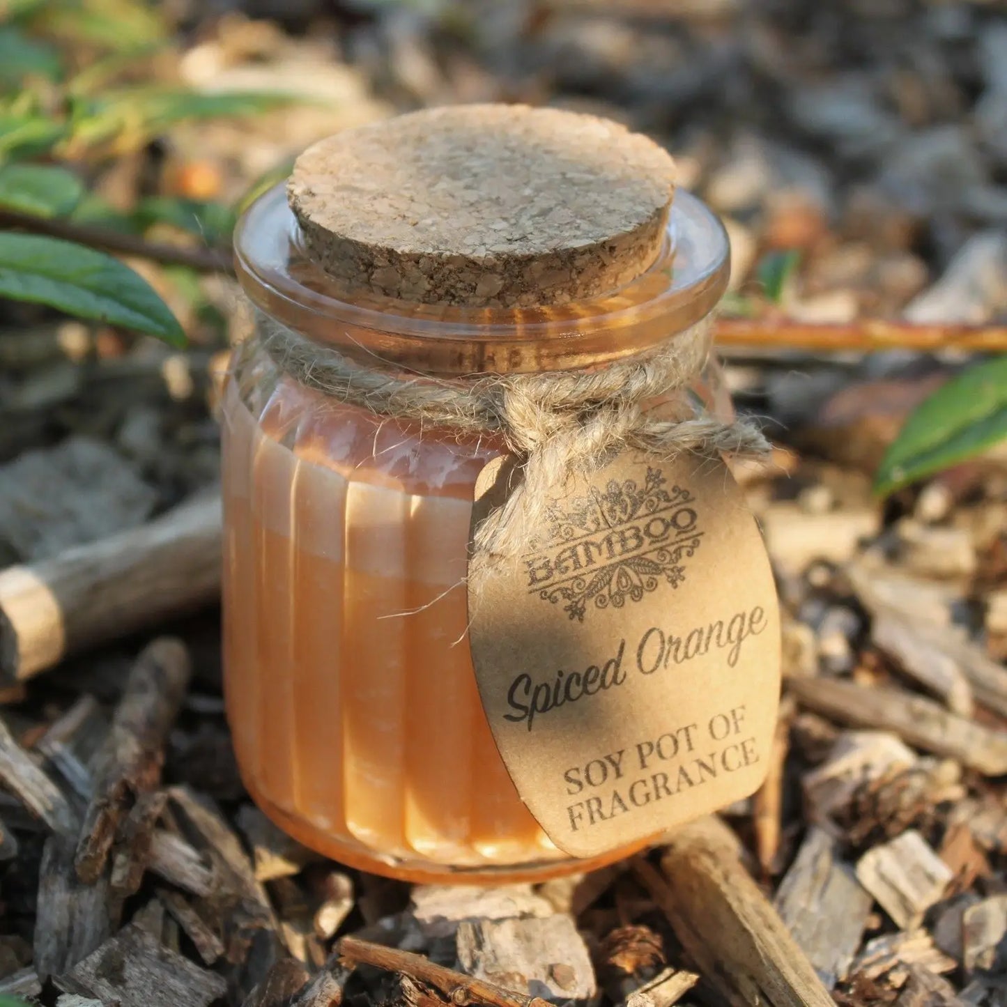 Spiced Orange Soy Pot of Fragrance Candles Ninja Aromatherapy