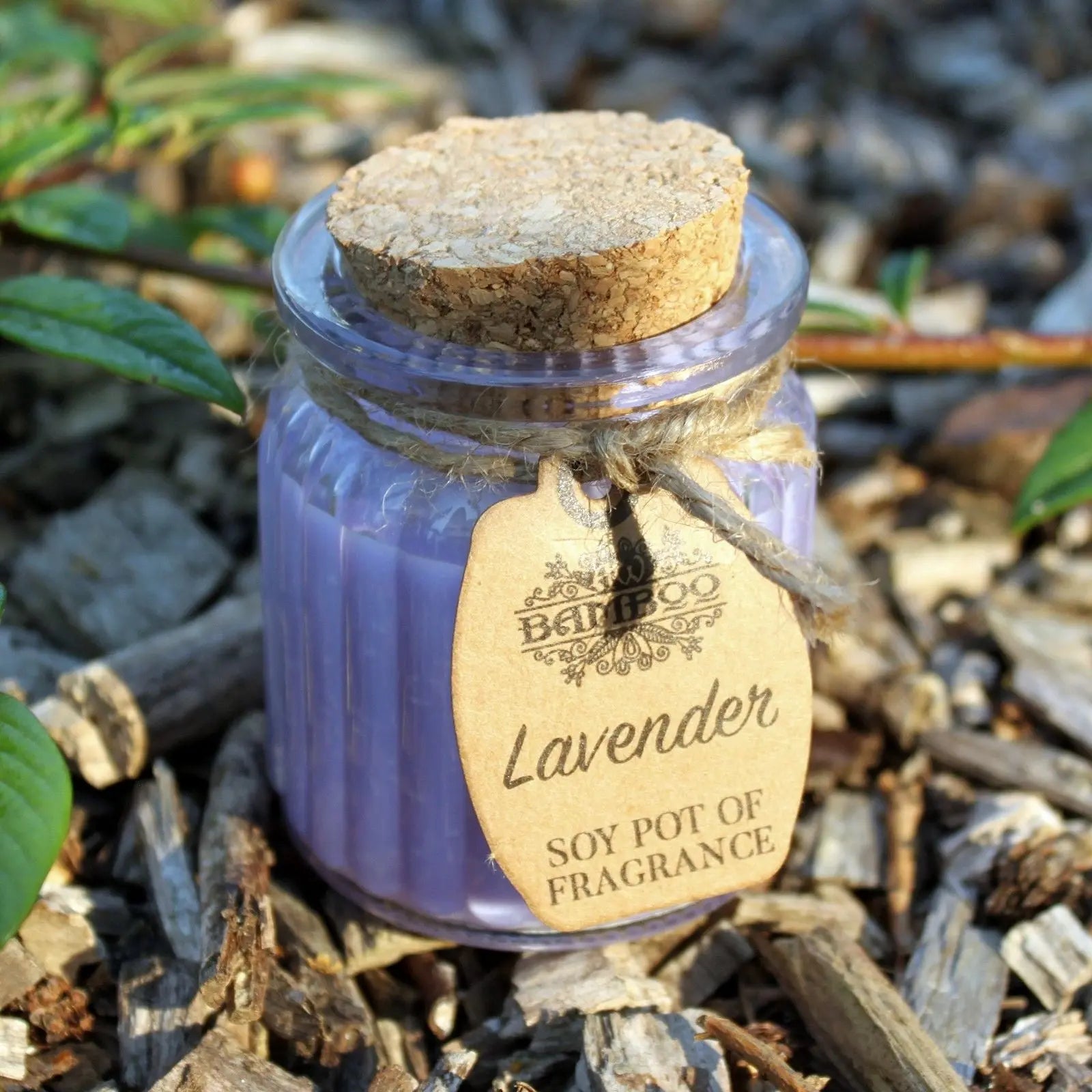 Lavender Soy Pot of Fragrance Candles Ninja Aromatherapy