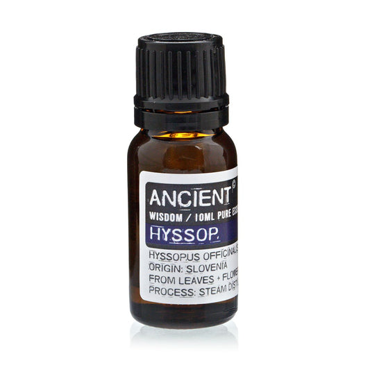 Hyssop Essential Oil 10ml Amber Glass Bottle with Built-In Drop Reducer – Respiratory and Digestive Relief