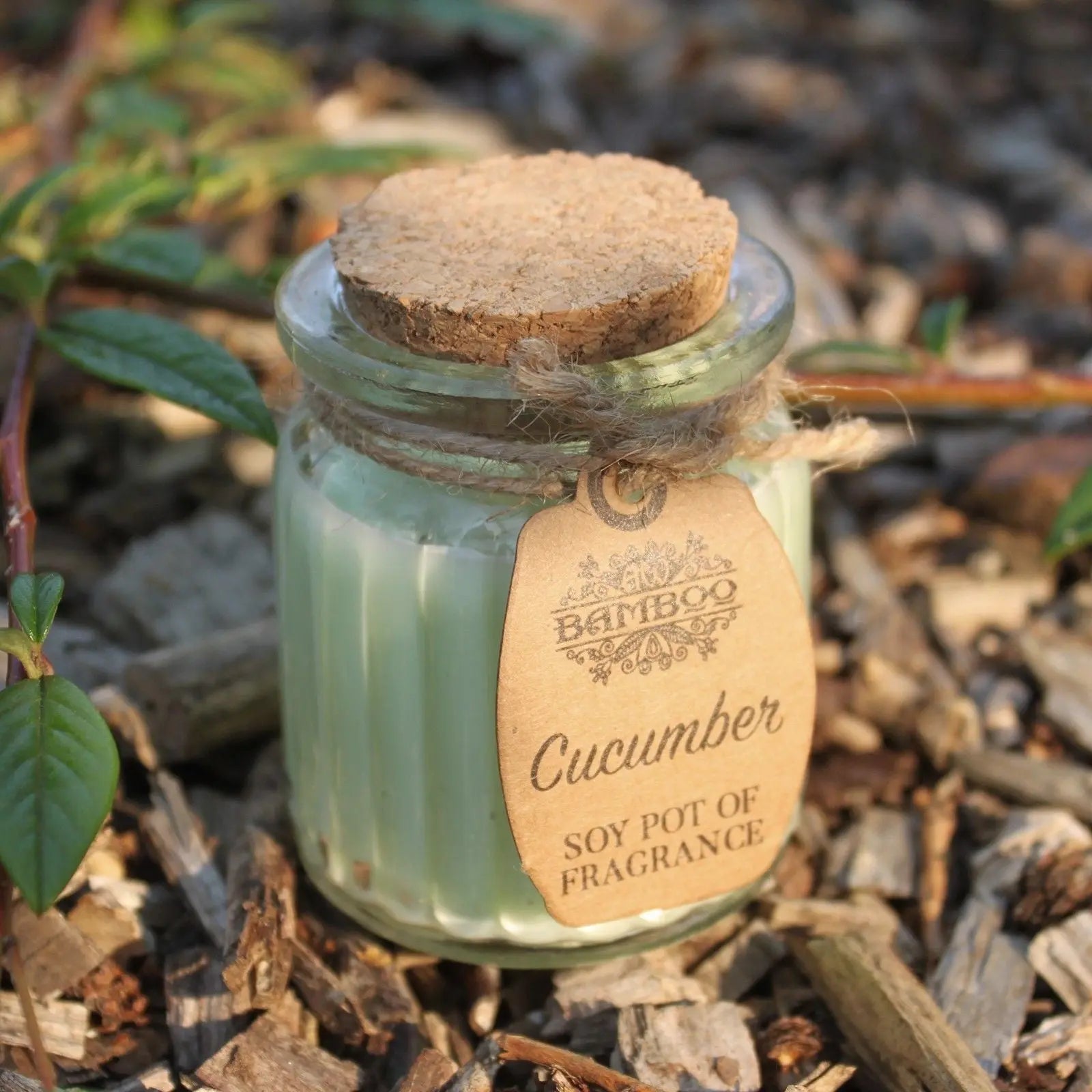 Cucumber Soy Pot of Fragrance Candles Ninja Aromatherapy