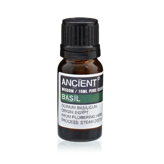 Basil Essential Oil 10ml Amber Glass Bottle with Built-In Drop Reducer – Mental Clarity and Respiratory Support