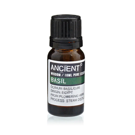Basil Essential Oil 10ml Amber Glass Bottle with Built-In Drop Reducer – Mental Clarity and Respiratory Support
