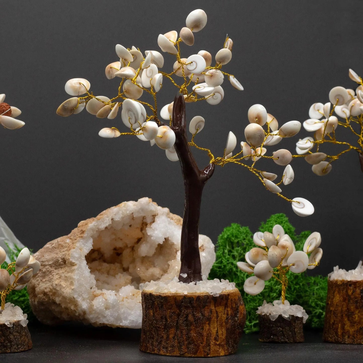 Lrg Gomati Chakra Circle Stone Tree - (60 stones) Ninja Aromatherapy