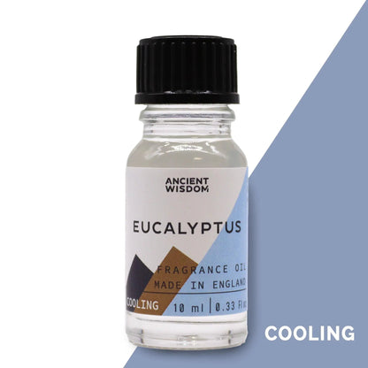 10ml Eucalyptus Fragrance Oil Bottle – Long Lasting Scent for Candles, Soaps & Diffusers