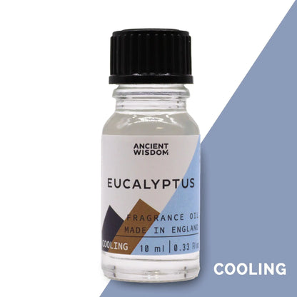10ml Eucalyptus Fragrance Oil Bottle – Long Lasting Scent for Candles, Soaps & Diffusers