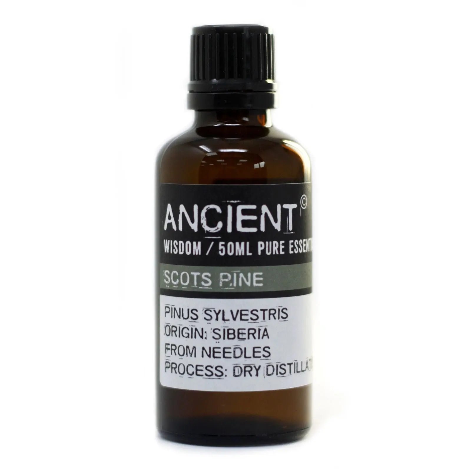 Pine Sylvestris (Scots Pine) 50ml 50ml Pure Essential Oil for Aromatherapy and Natural Wellness
