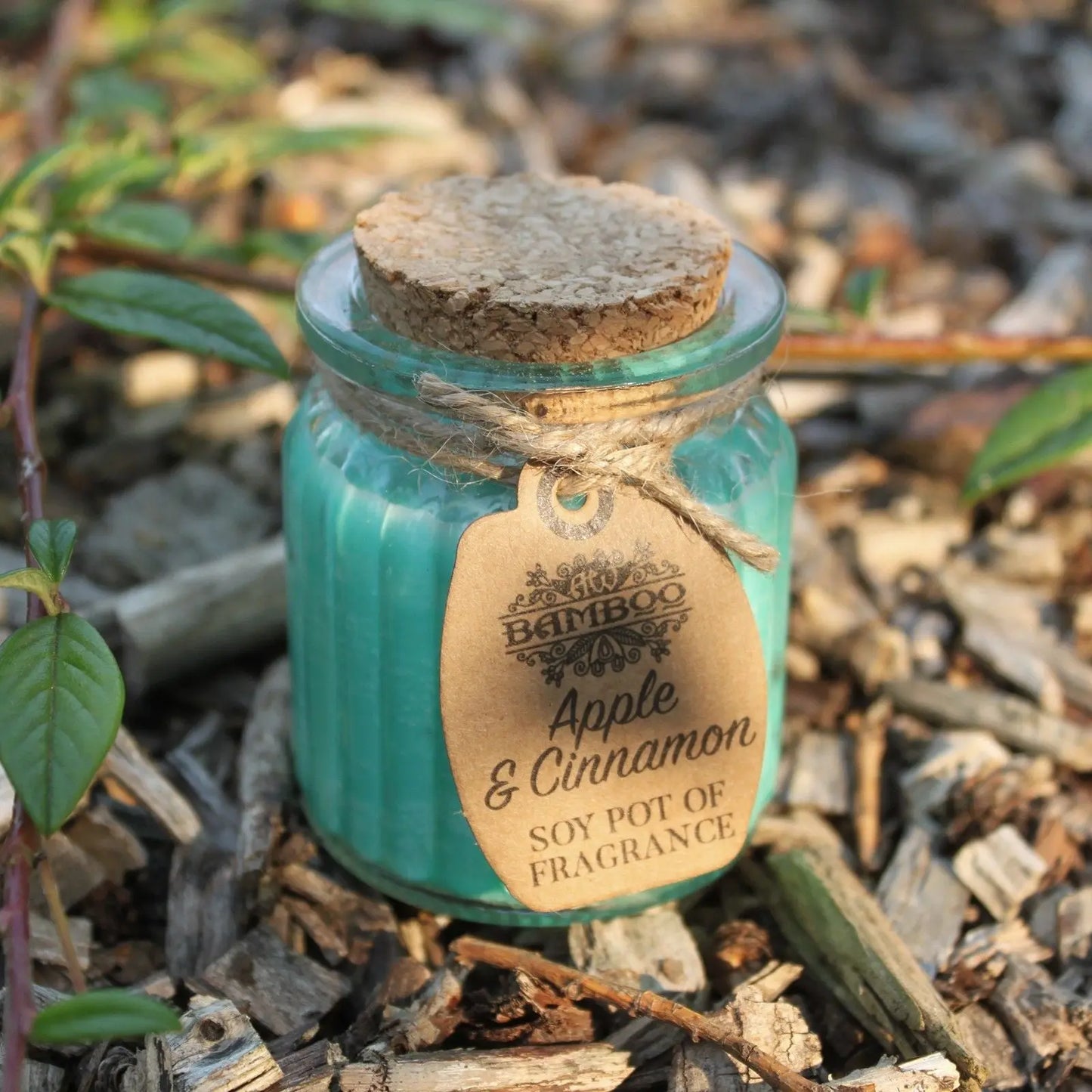 Apple & Cinnamon Soy Pot of Fragrance Candles Ninja Aromatherapy