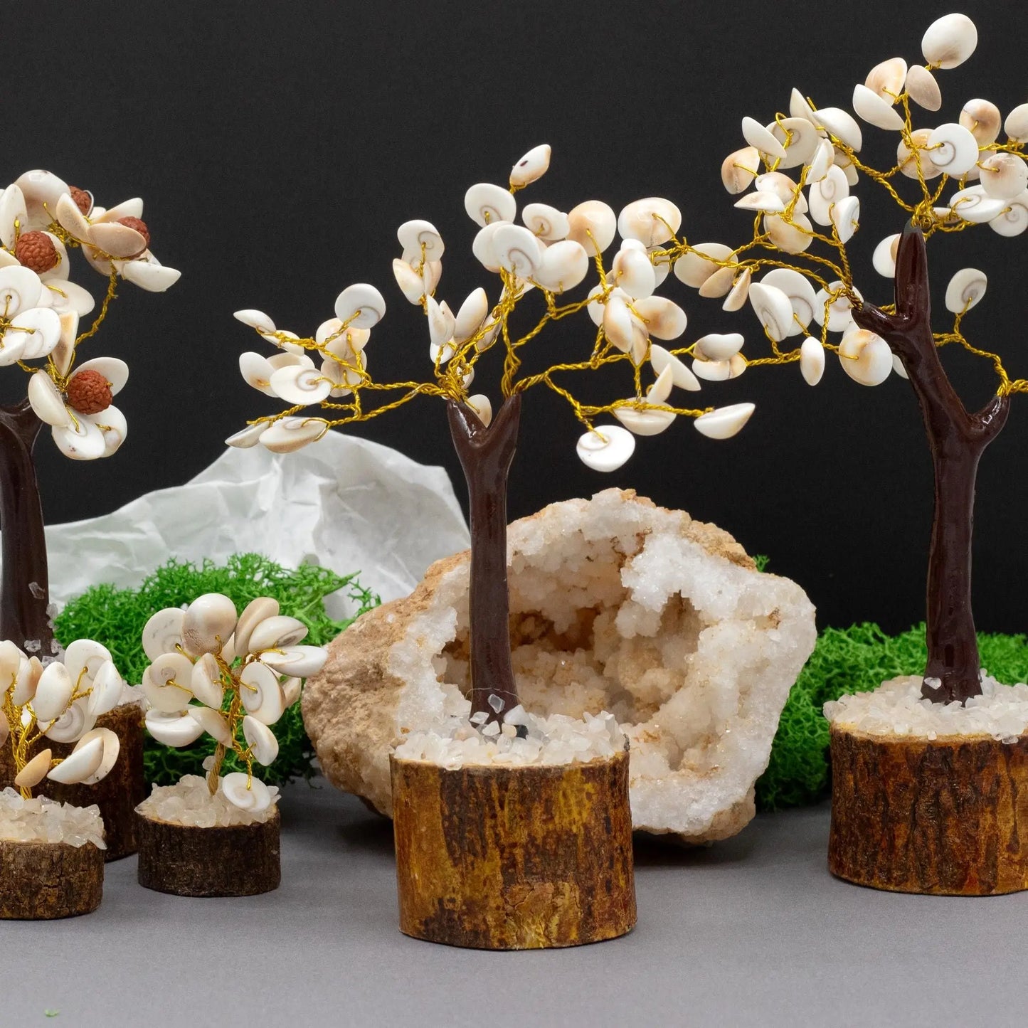 Med Gomati Chakra Circle Stone Tree - (45 stones) Ninja Aromatherapy