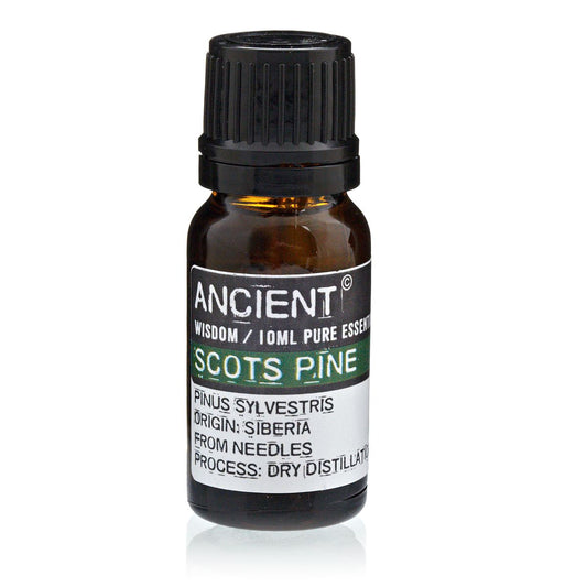 Pine Sylvestris (Scots Pine) Essential Oil 10ml Amber Glass Bottle with Built-In Drop Reducer – Refreshing, Cleansing and Immune Support
