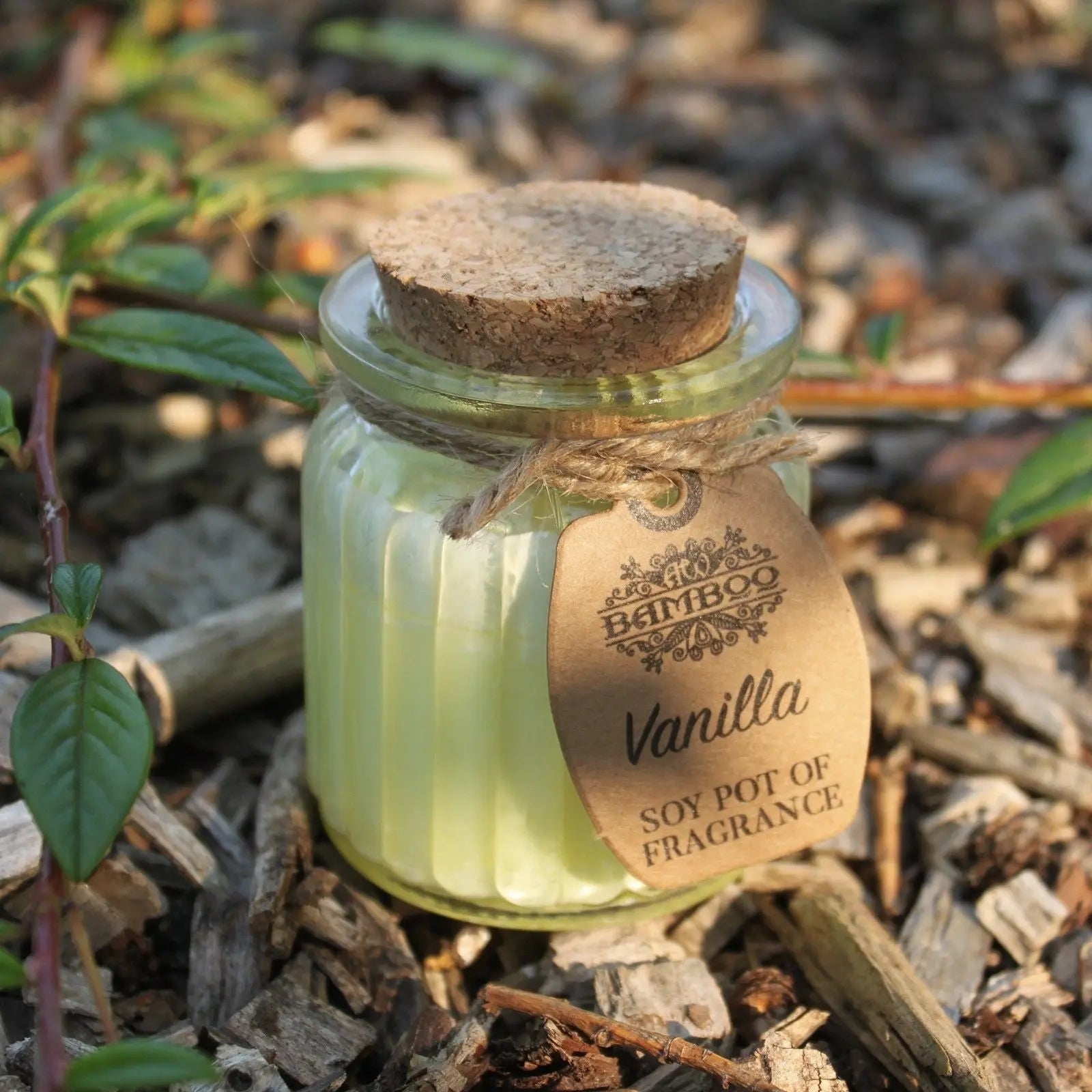 Vanilla Soy Pot of Fragrance Candles Ninja Aromatherapy