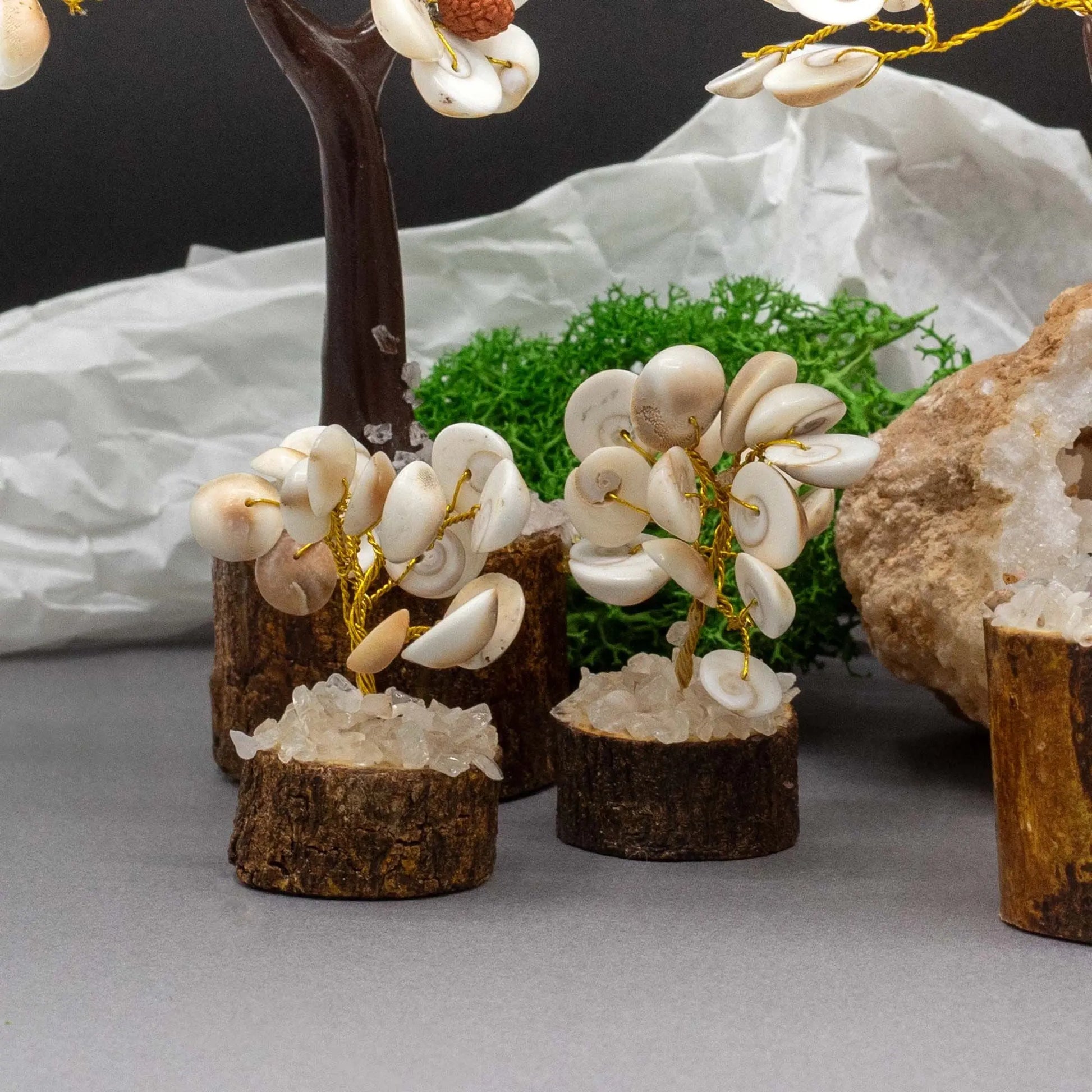 Small Gomati Chakra Circle Stone Tree with Rudraksha - (15 stones) Ninja Aromatherapy