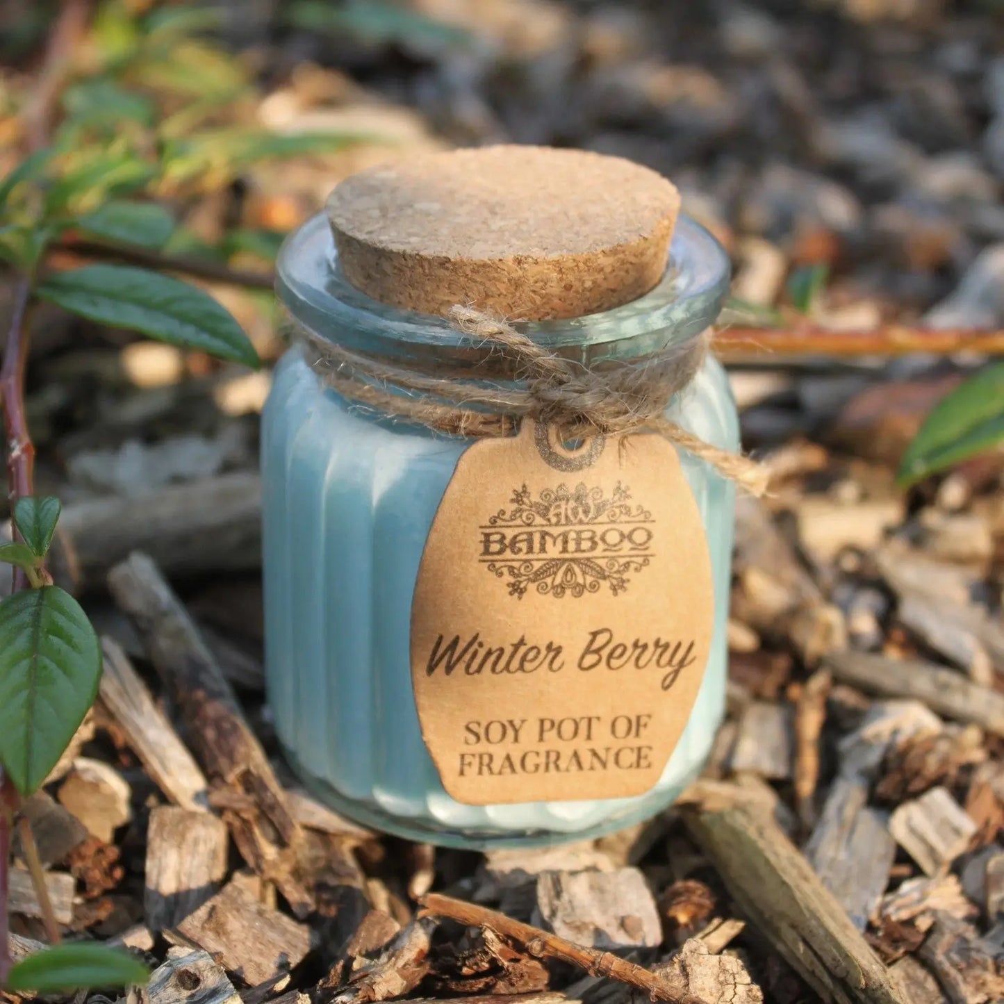 Winter Berry Soy Pot of Fragrance Candles Ninja Aromatherapy