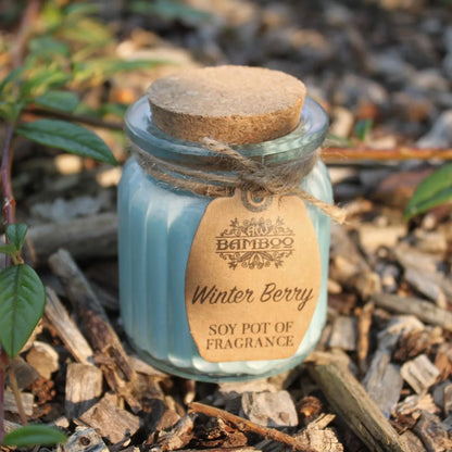 Winter Berry Soy Pot of Fragrance Candles Ninja Aromatherapy