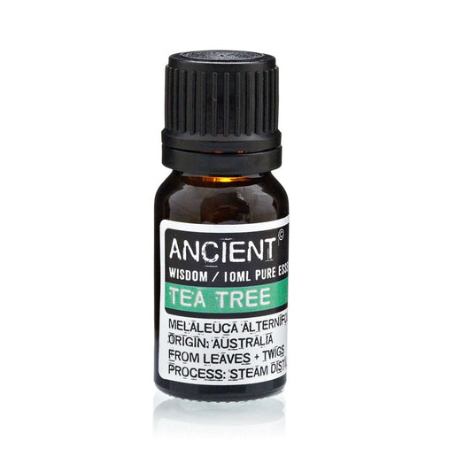 Tea Tree Essential Oil 10ml Amber Glass Bottle with Built-In Drop Reducer – Natural Antiseptic and Antifungal from Australia