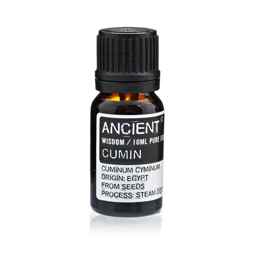 Cumin Seed Essential Oil 10ml Amber Glass Bottle with Built-In Drop Reducer – Natural Antibacterial and Digestive Support