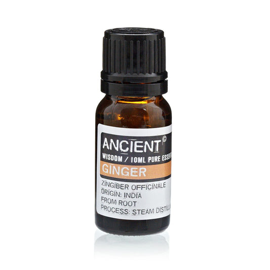Ginger Essential Oil 10ml Amber Glass Bottle with Built-In Drop Reducer – Warming and Digestive Support