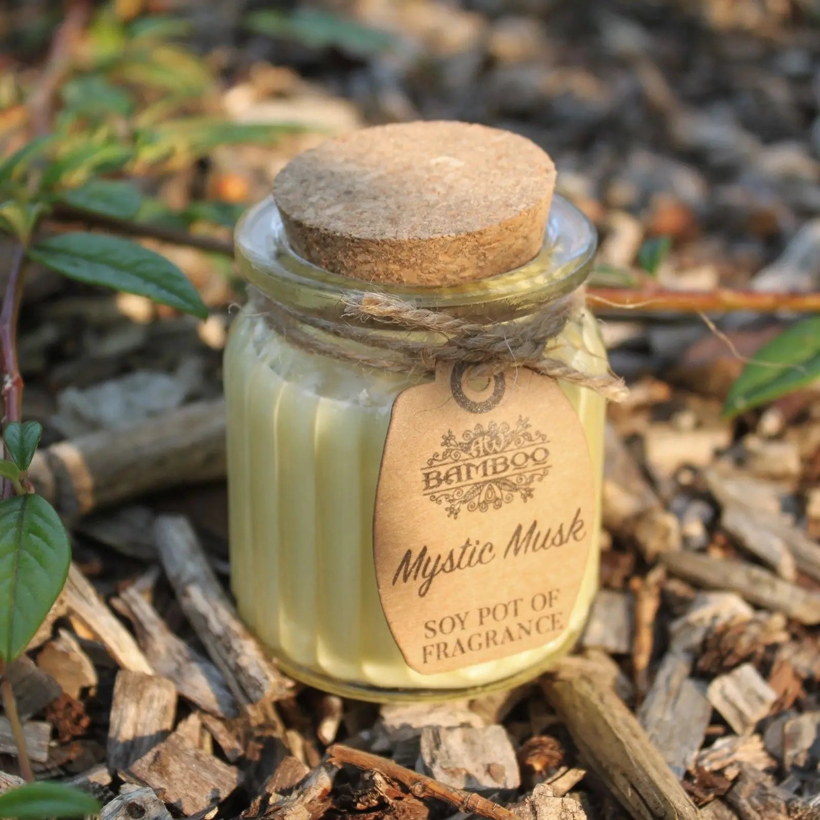 Mystic Musk Soy Pot of Fragrance Candles Ninja Aromatherapy