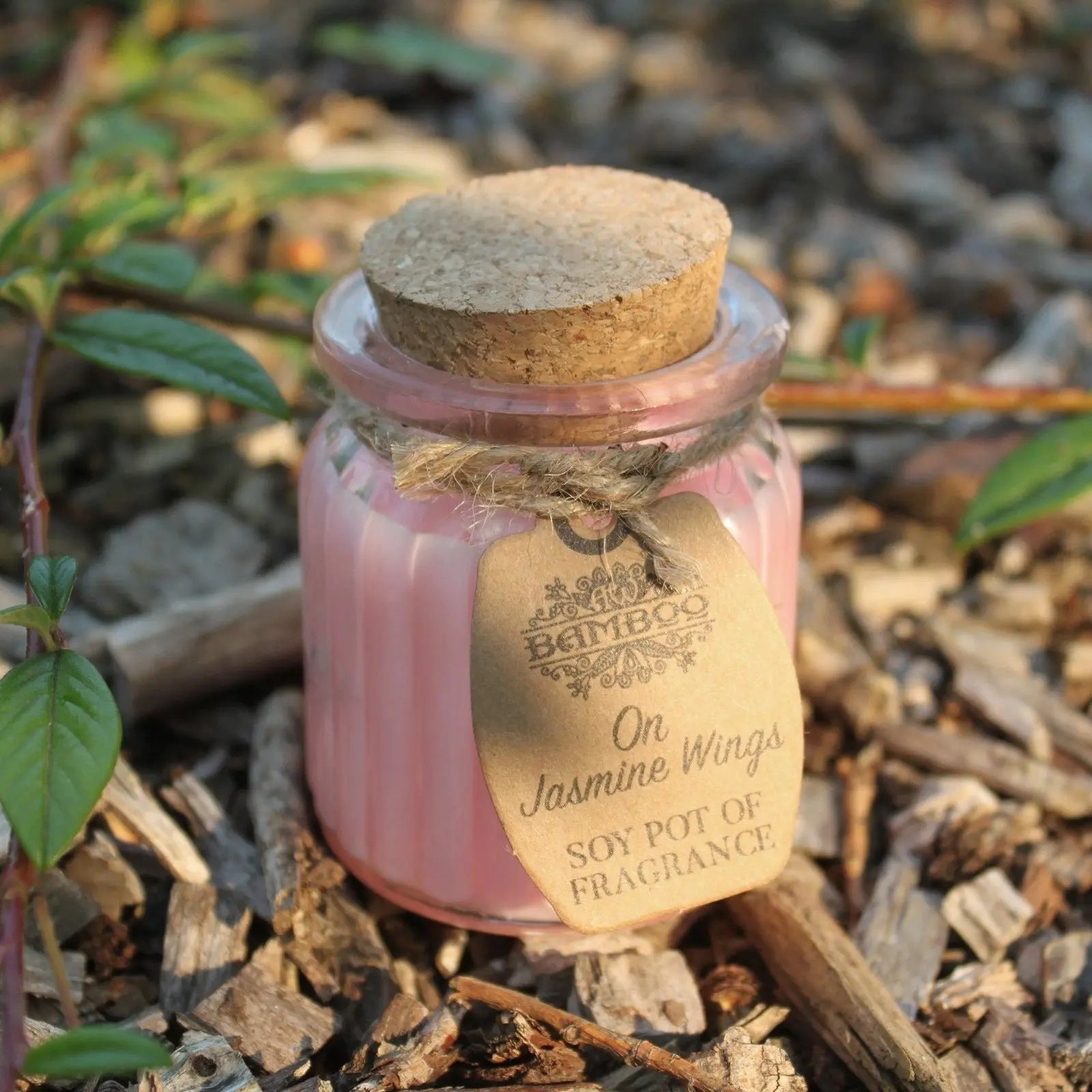 On Jasmine Wings Soy Pot of Fragrance Candles Ninja Aromatherapy