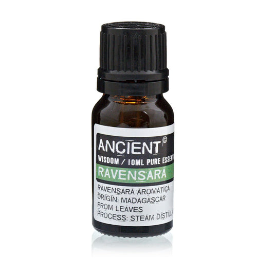 Ravensara Essential Oil 10ml Amber Glass Bottle with Built-In Drop Reducer – Natural Cold and Immunity Support