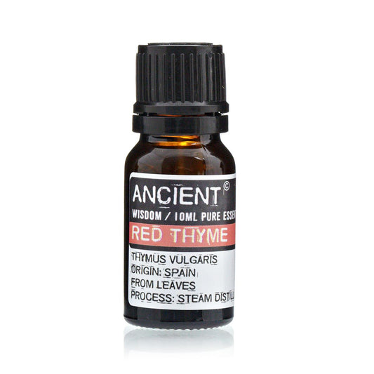 Red Thyme Essential Oil 10ml Amber Glass Bottle with Built-In Drop Reducer – Natural Immunity and Respiratory Support