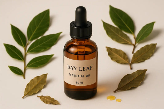 Bay Leaf Essential Oil 50ml Product Image