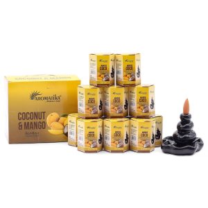 Pack of 10 Masala Backflow Incense - Coconut &amp; Mango