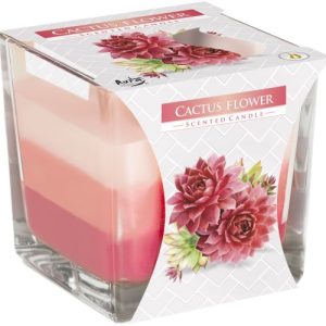 Rainbow Jar Candle - Cactus flower