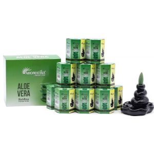Pack of 10 Masala Backflow Incense - Aloe Vera